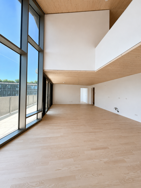 Wohnung 246,74 m² – Ansicht 4